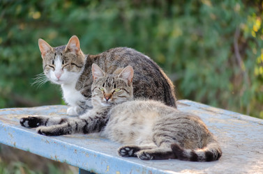 Similar image 22308843