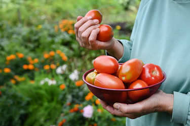 Similar image 22301995