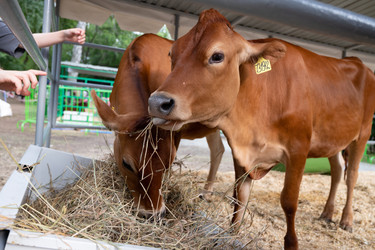 Similar image 22301998