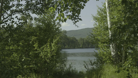 Similar image 22314440