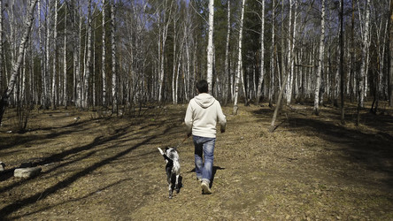 Similar image 22315740