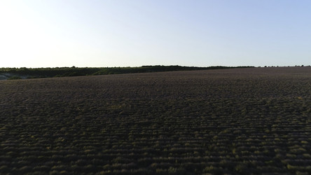 Similar image 22316277