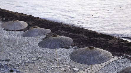 Similar image 22316278