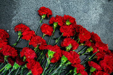 Similar image 22302286