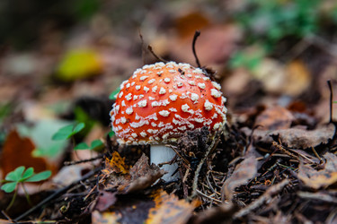 Similar image 22302287