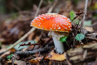 Similar image 22302288