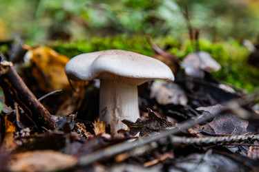 Similar image 22302289