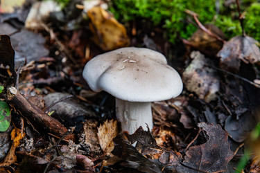 Similar image 22302290