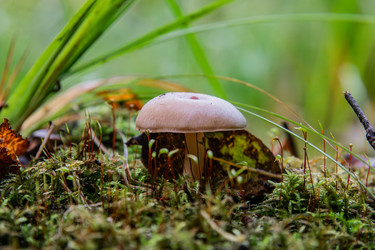 Similar image 22302291