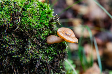 Similar image 22302293