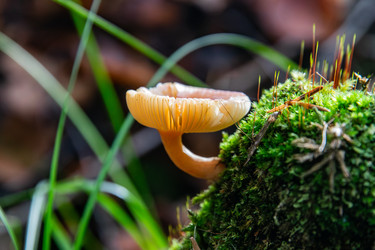 Similar image 22302294