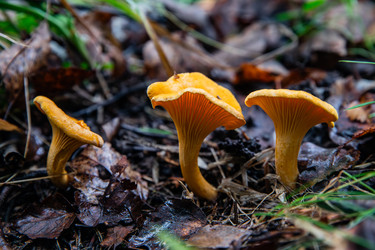 Similar image 22302297