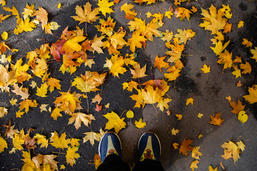 Similar image 22302298