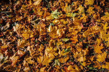 Similar image 22302300