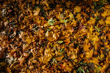 Similar image 22302301