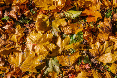 Similar image 22302302