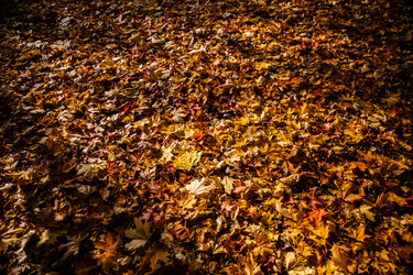 Similar image 22302303