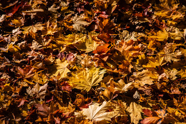 Similar image 22302304