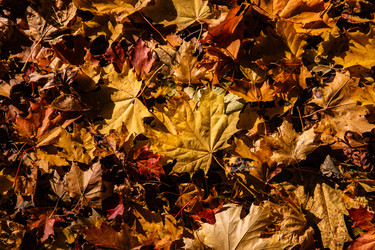 Similar image 22302305