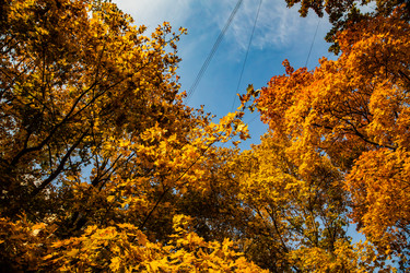 Similar image 22302308