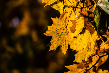 Similar image 22302309