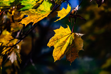 Similar image 22302310