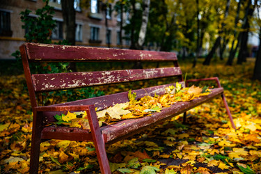 Similar image 22302311