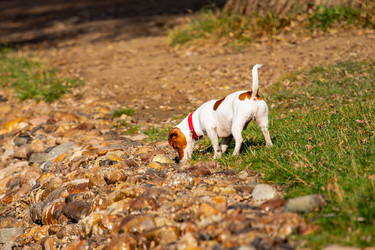 Similar image 22302313