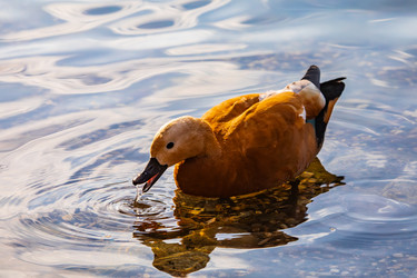 Similar image 22302314