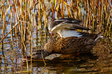 Similar image 22302315