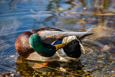 Similar image 22302318