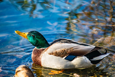 Similar image 22302319