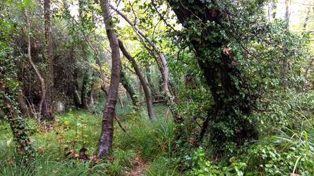 Similar image 22311358