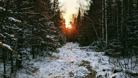 Similar image 22301174