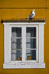 Similar image 22314313