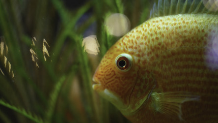 Similar image 22314444