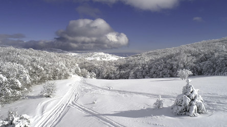 Similar image 22315764