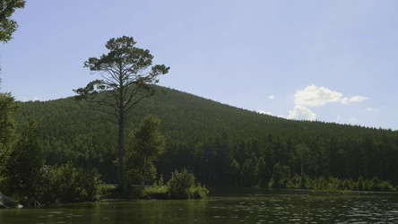 Similar image 22315767