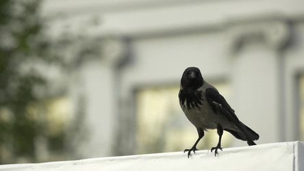 Similar image 22315769