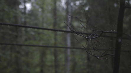 Similar image 22316045