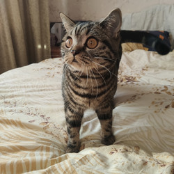 Similar image 22314884