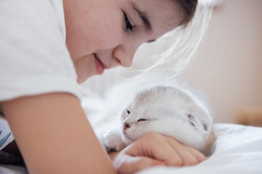 Similar image 22321107