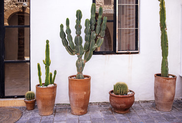 Similar image 22321120