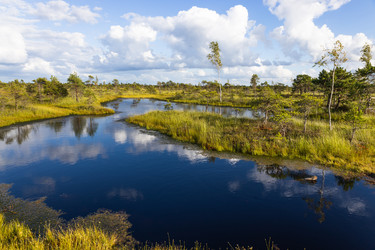 Similar image 22317265