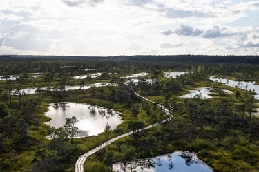 Similar image 22317267