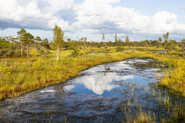 Similar image 22317268