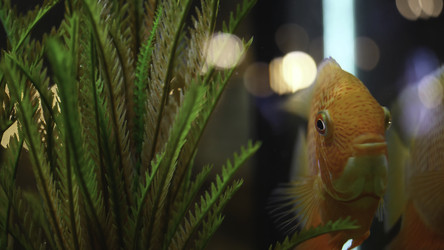 Similar image 22328966