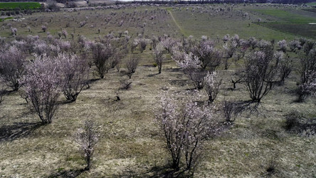 Similar image 22328969