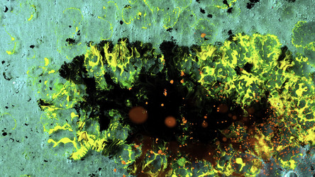 Similar image 22329317