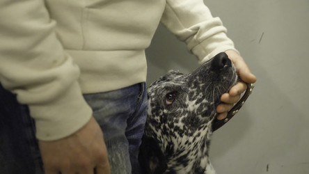 Similar image 22329722